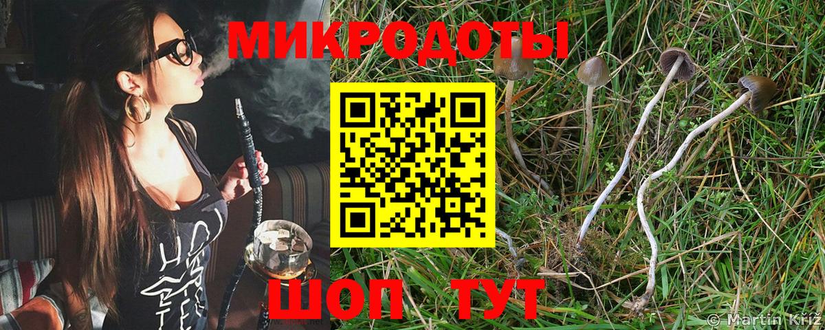 Татарск  Псилоцибиновые грибы MAGIC MUSHROOMS  Вход с VPN 